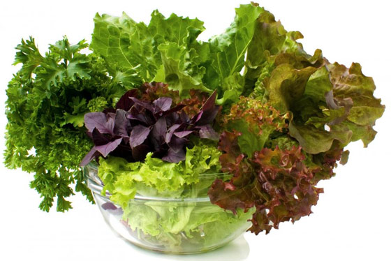 Conserver sa salade plus longtemps