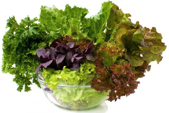 salade verte